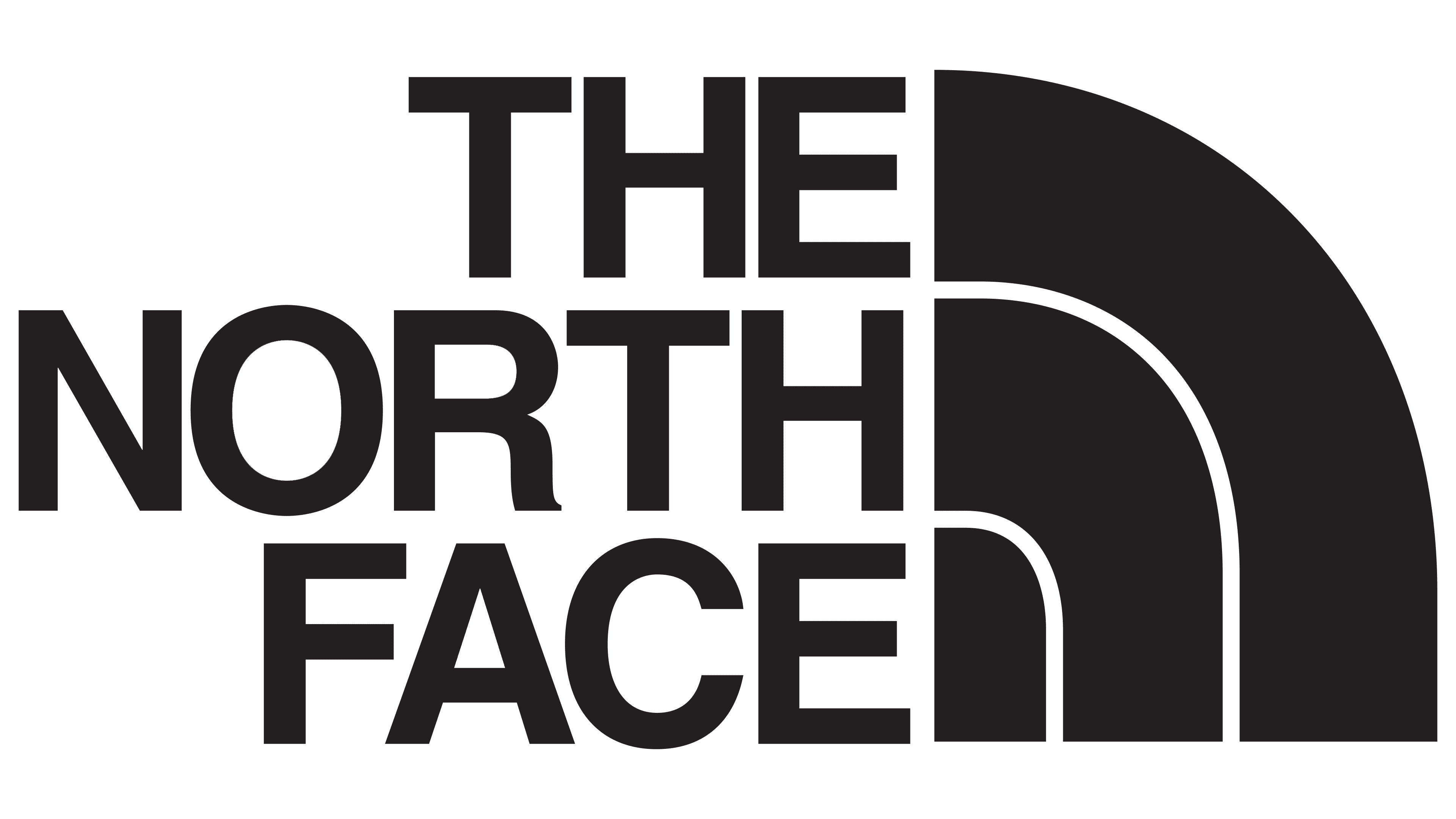 logo the north face